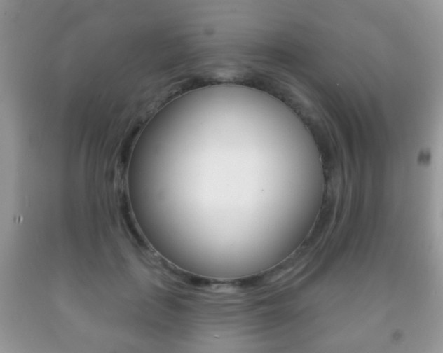 X0000091930651200709051242