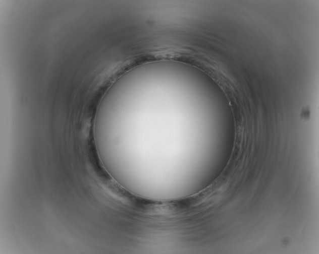 X0000091930652200709051242