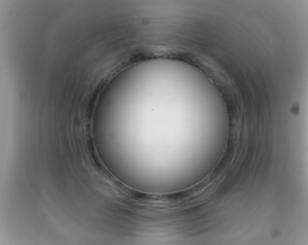 X0000091930653200709051242