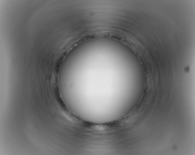 X0000091930654200709051242