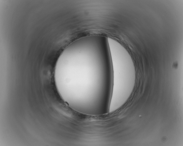 X0000091930655200709051242