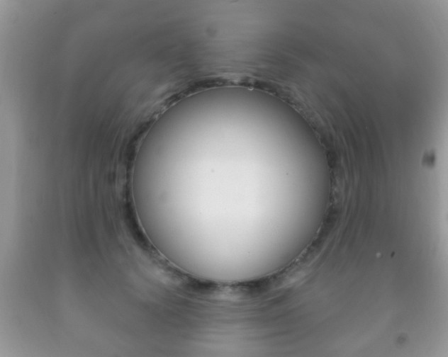 X0000091930656200709051242