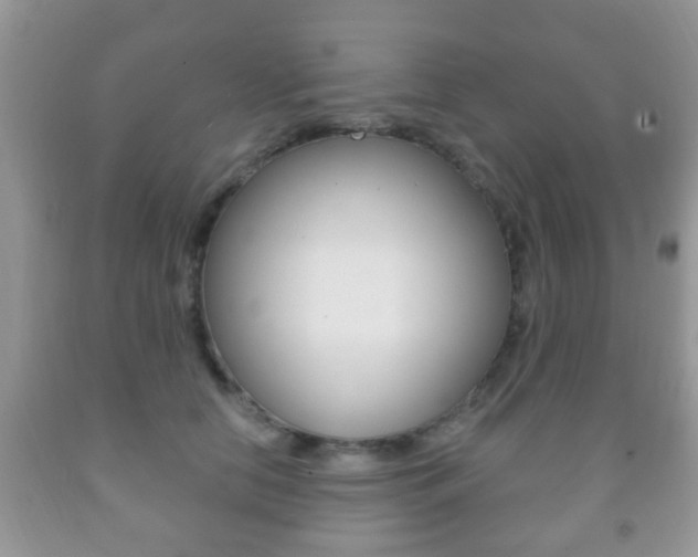 X0000091930658200709051242