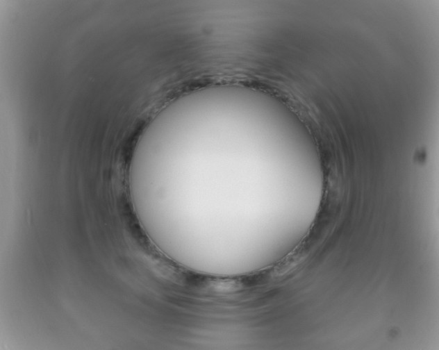 X0000091930659200709051242