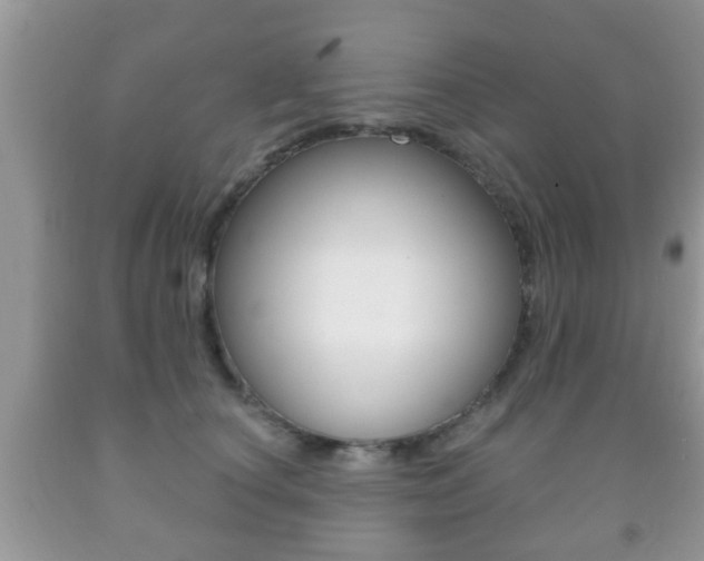 X0000091930660200709051242