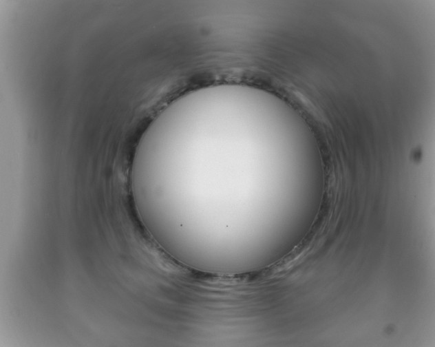 X0000091930661200709051242