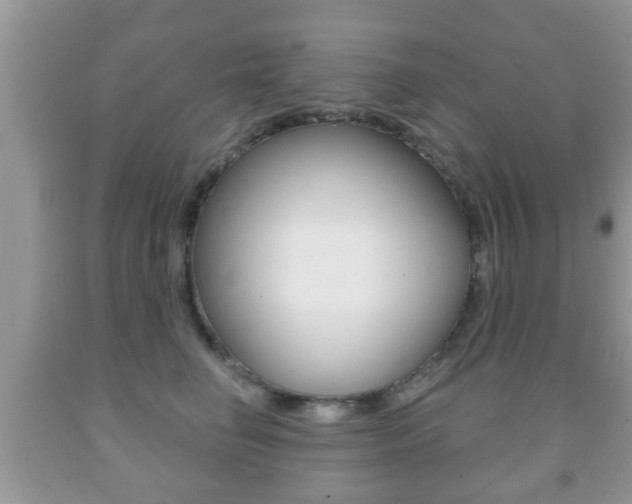 X0000091930662200709051242