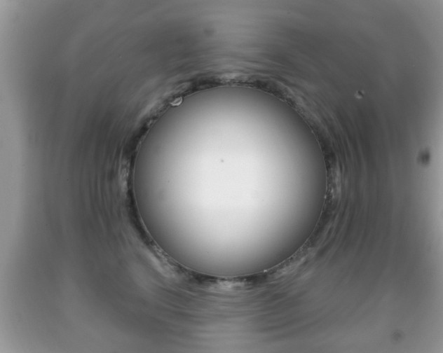 X0000091930664200709051242