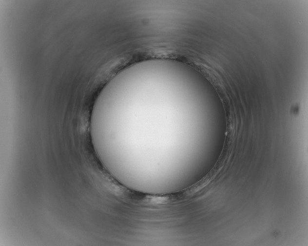 X0000091930665200709051242