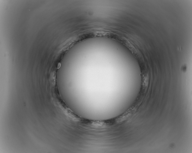 X0000091930666200709051242