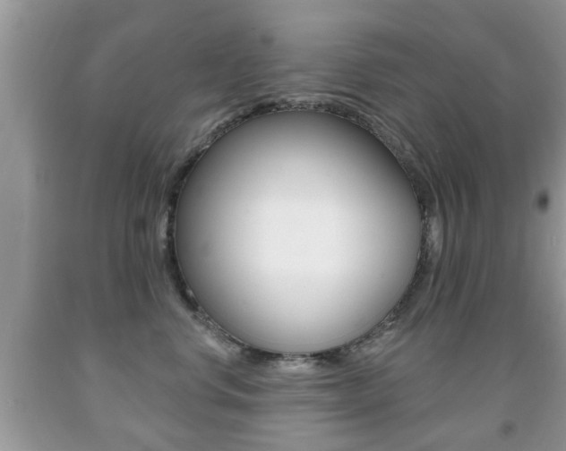 X0000091930668200709051242