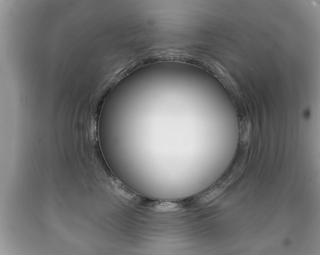 X0000091930669200709051242