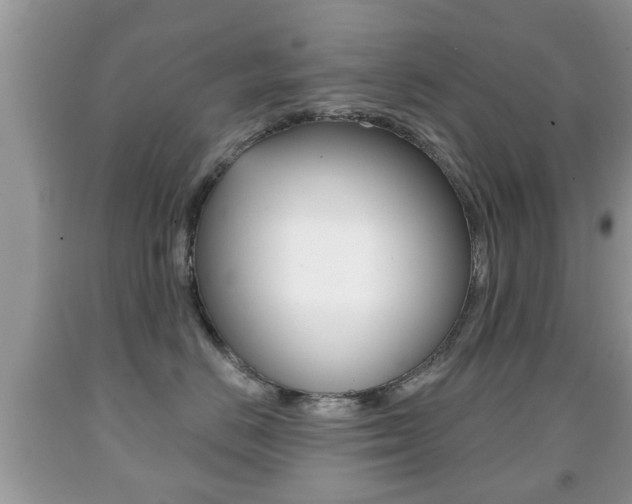 X0000091930670200709051242