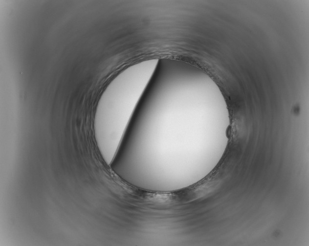 X0000091930671200709051242