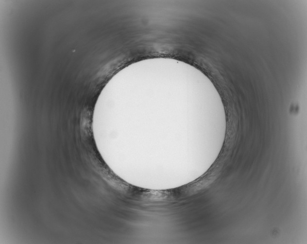 X0000091930672200709051242