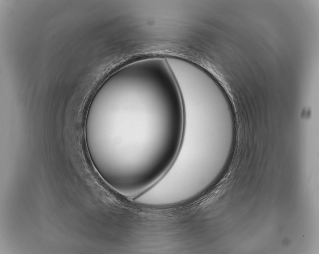 X0000091930673200709051241