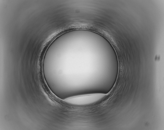 X0000091930674200709051241