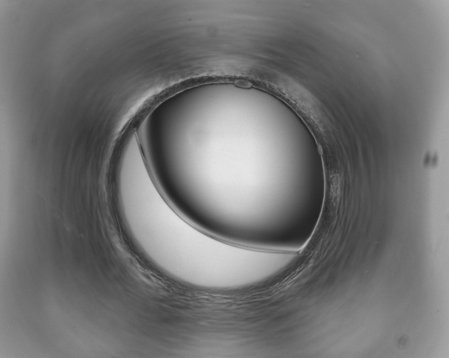 X0000091930676200709051241