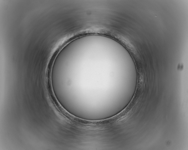X0000091930678200709051241