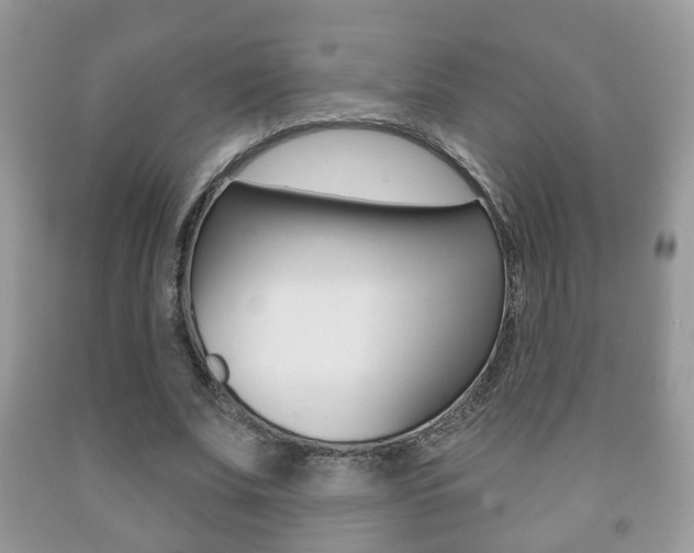 X0000091930679200709051241
