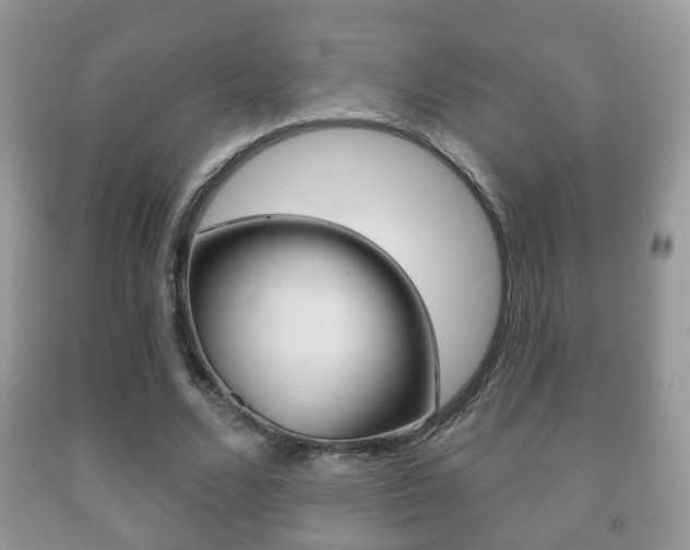 X0000091930680200709051241