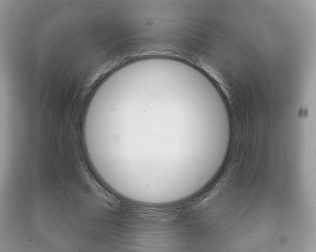 X0000091930681200709051241
