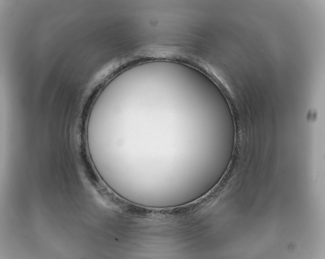 X0000091930682200709051241
