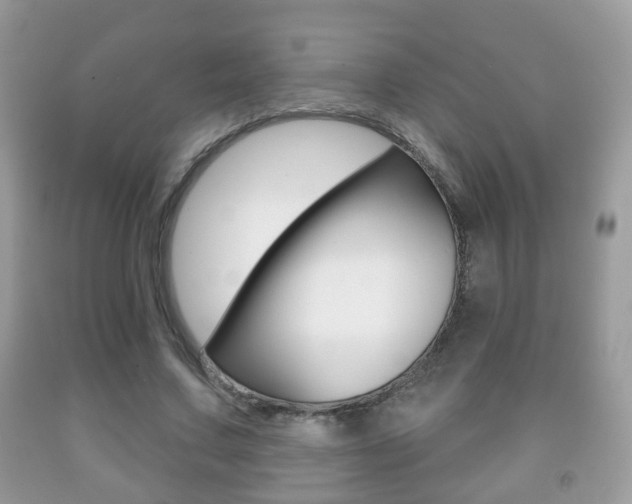 X0000091930683200709051241