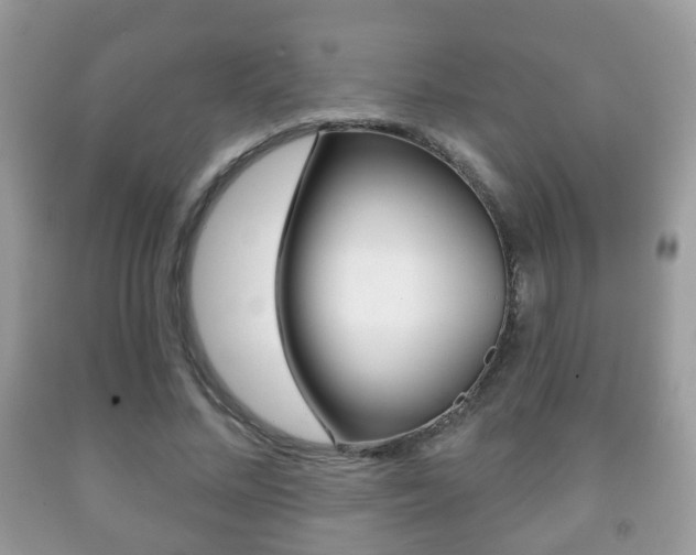 X0000091930684200709051241