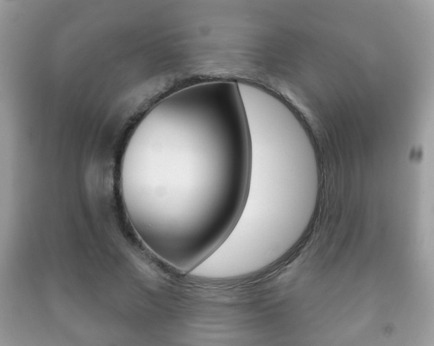 X0000091930685200709051241