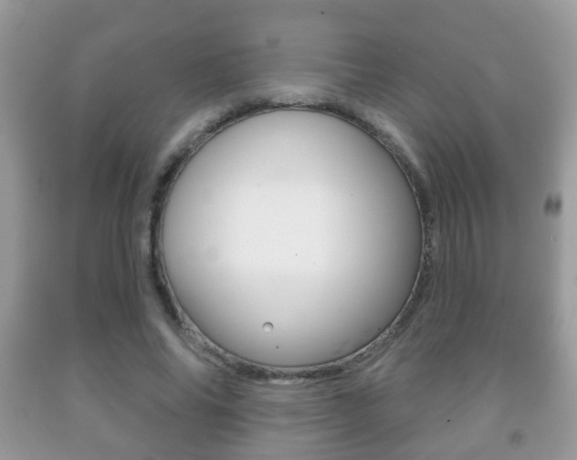 X0000091930686200709051241
