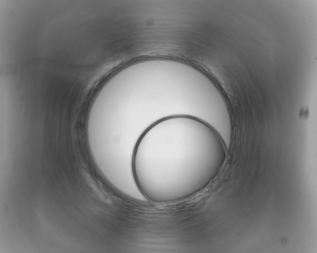 X0000091930688200709051241