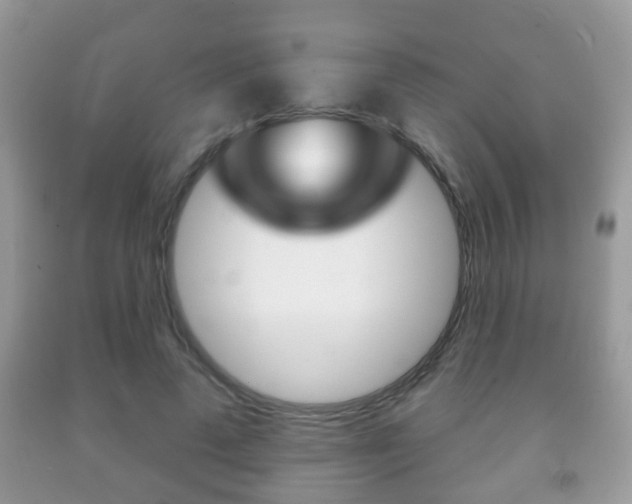 X0000091930689200709051241