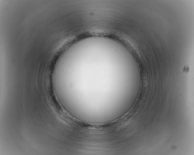 X0000091930690200709051241
