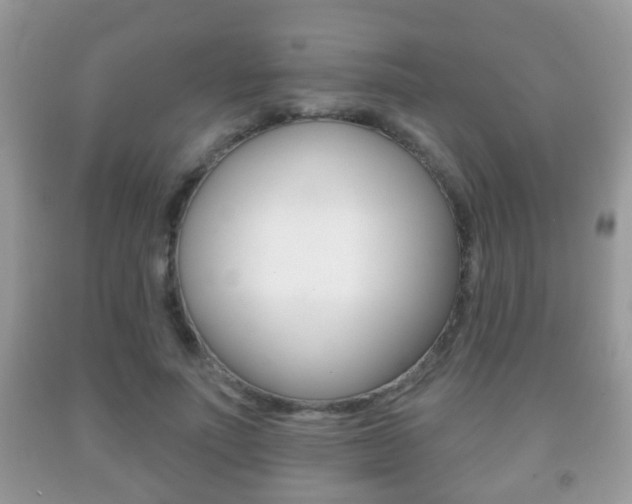 X0000091930691200709051241