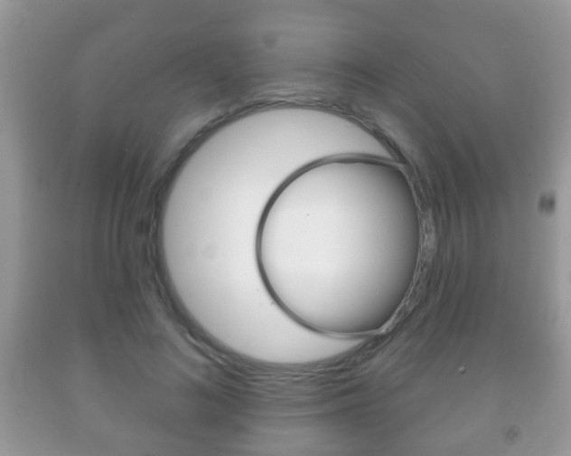 X0000091930692200709051241