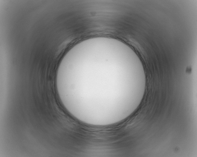 X0000091930693200709051241