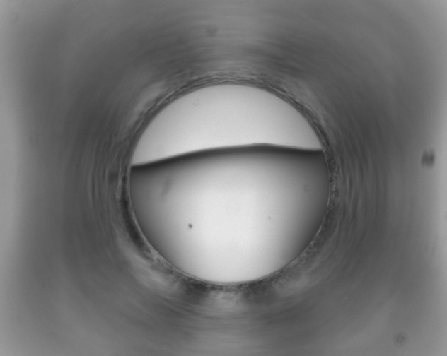X0000091930694200709051241