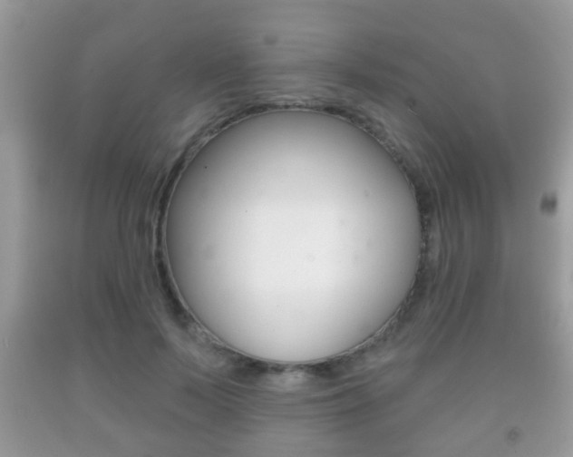 X0000091930695200709051241