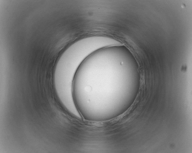 X0000091930696200709051241