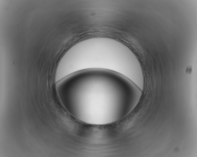 X0000091930697200709051241