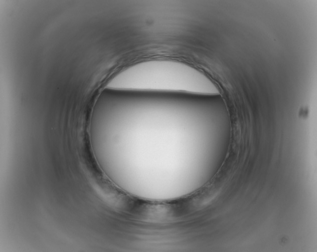 X0000091930698200709051241