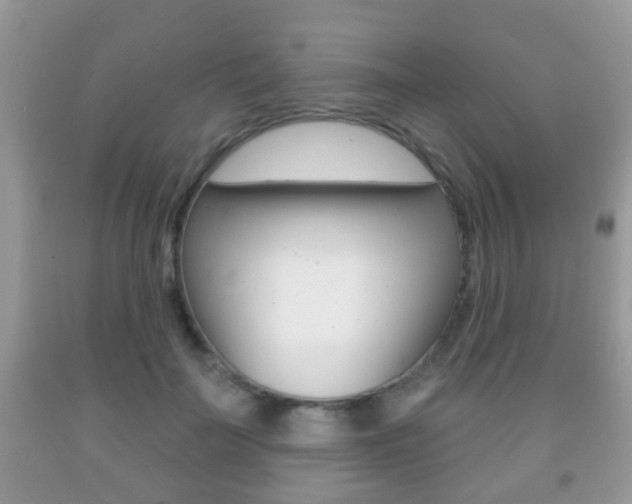 X0000091930699200709051241