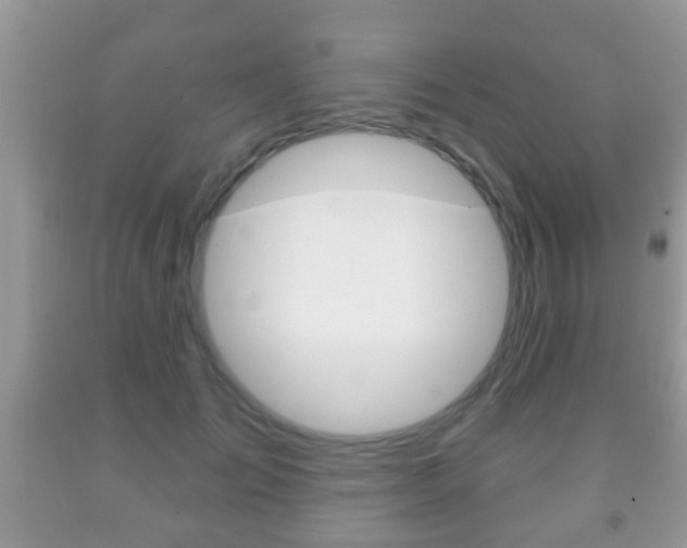 X0000091930701200709051241
