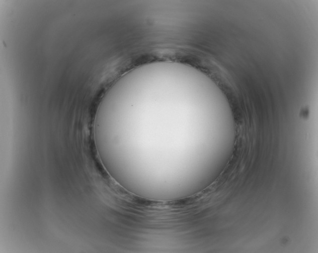 X0000091930702200709051241