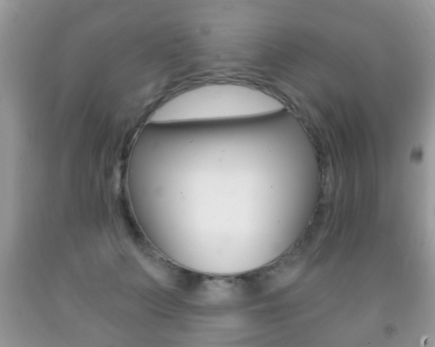 X0000091930703200709051241