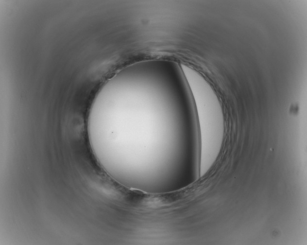 X0000091930704200709051241