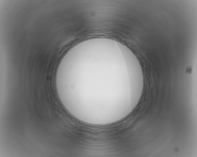 X0000091930705200709051241