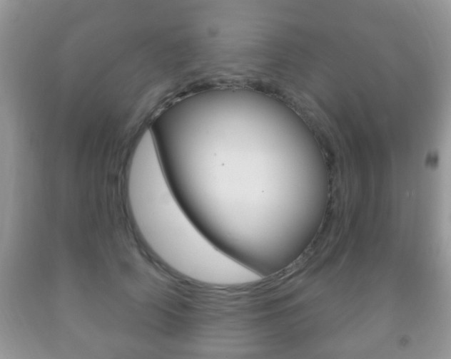 X0000091930706200709051241