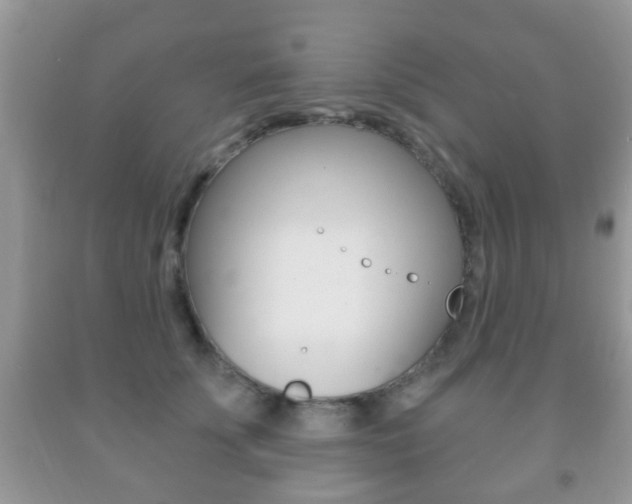 X0000091930707200709051241